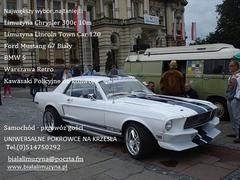 /uploads/ogloszenia/2709/mustang_68r_180px.jpg