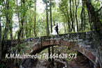 /uploads/ogloszenia/3277/15_98px.jpg