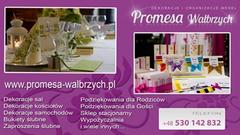 /uploads/ogloszenia/3390/promesa-21_180px.jpg