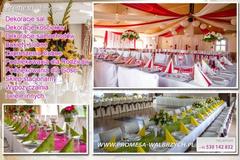 /uploads/ogloszenia/3585/promesa_sklep_weselny_180px.jpeg