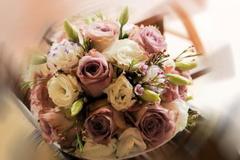 /uploads/ogloszenia/4289/1_180px.jpg