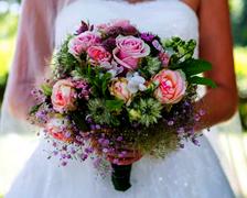/uploads/ogloszenia/4597/b_1_25103_180px.jpg