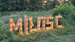 /uploads/ogloszenia/5053/pobrany_plik_(2)_kopia_98px.jpg